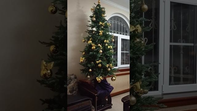 Новогоднее чудо доступно всегда!