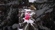Новогодний челлендж день 5