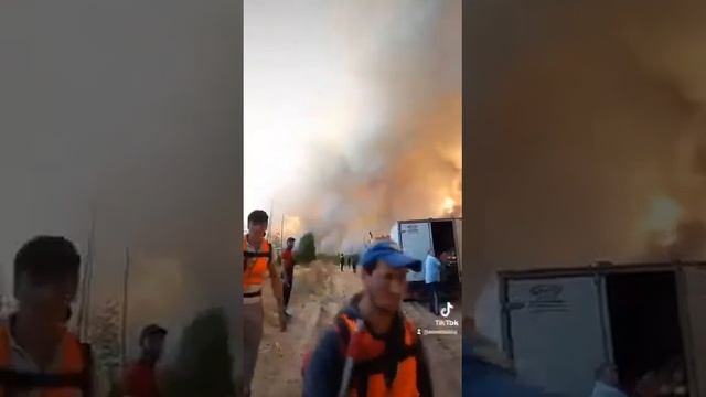 РЯЗАНДА МУСОФИРЛАР УЛИБ КЕТМОКДА ОЛОВ САБАБЛИЙ