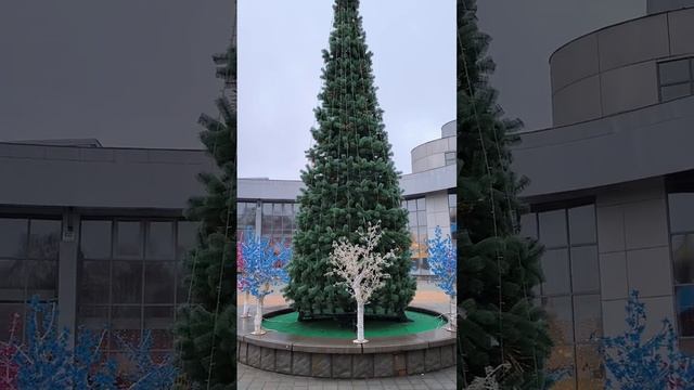 Белгород дубовое прогулялся и показал  такую красоту.