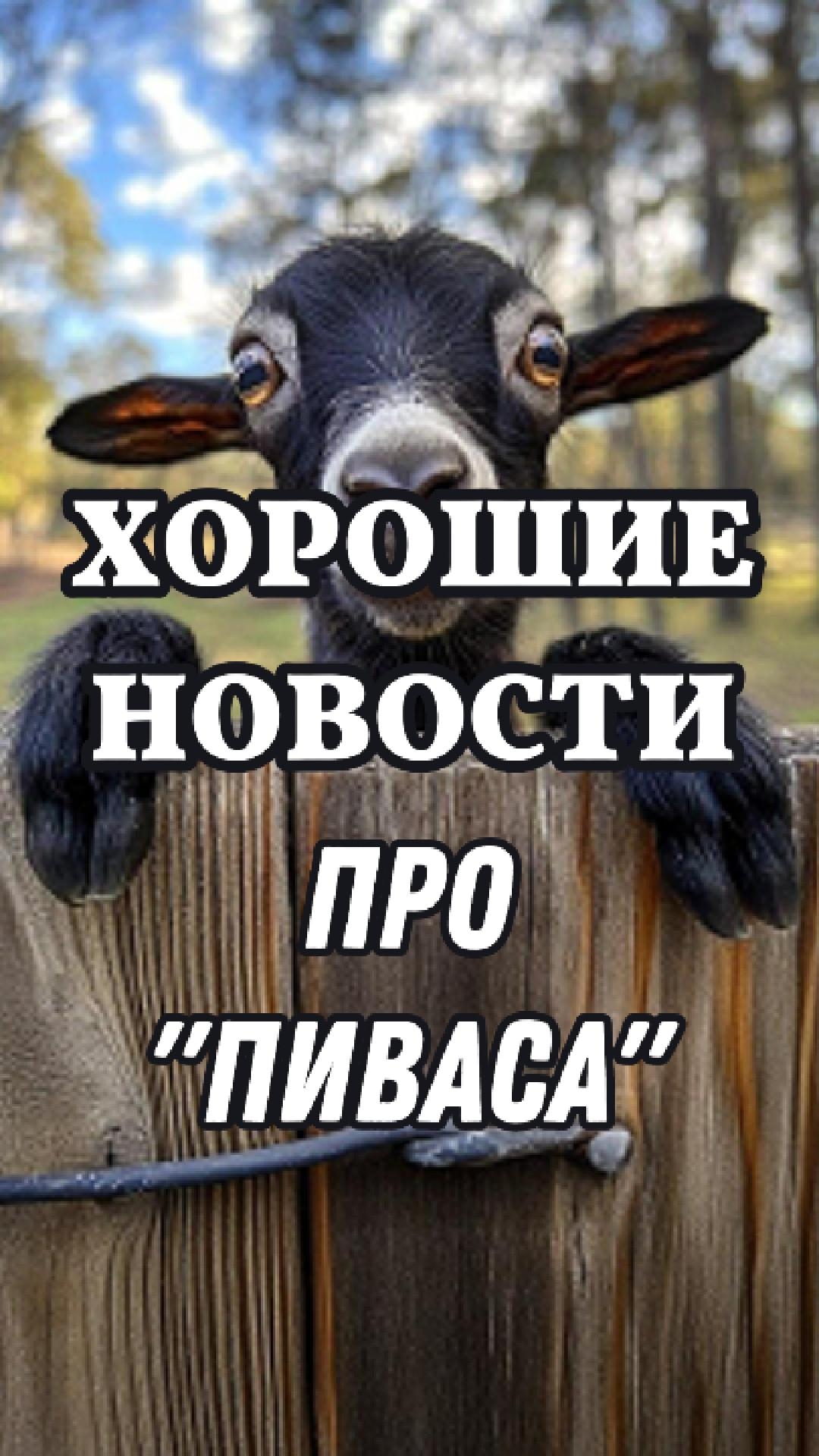 Зухрей Пердолобов 💪 побывал в необычной деревне, где познакомился с необычным рогатым 🐐