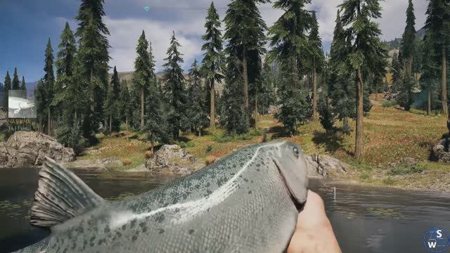 Far Cry V: Право на оружие!
