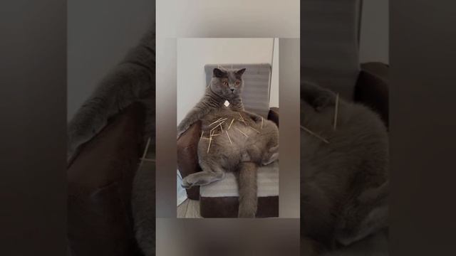 Минутка низкого юмора