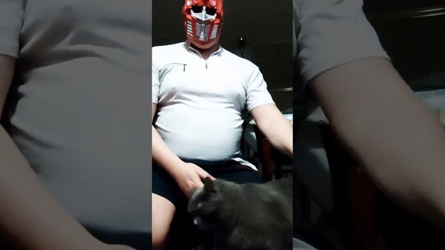 Гроза