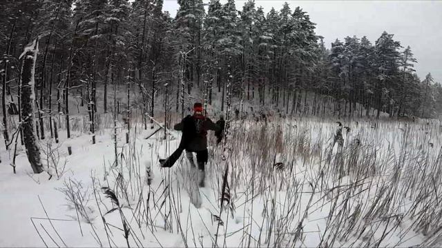 Женсть-рогейн. Чемпионат Вселенной по почти рогейну.