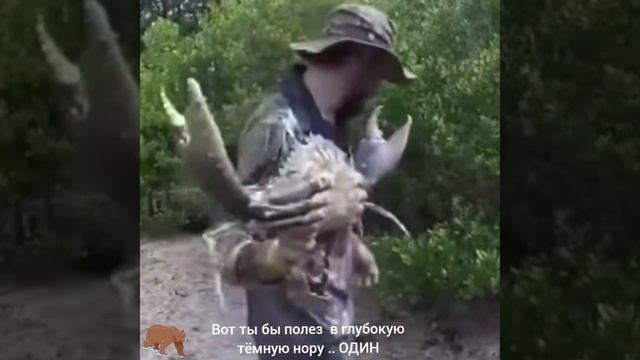 ВОТ ТЫ ПОЛЕЗ бы в ГЛУБОКУЮ и ТЁМНУЮ НОРУ .. ОДИН
