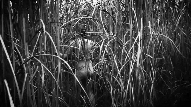 Argwaan - Drown_ drown_ mistress of sorrow