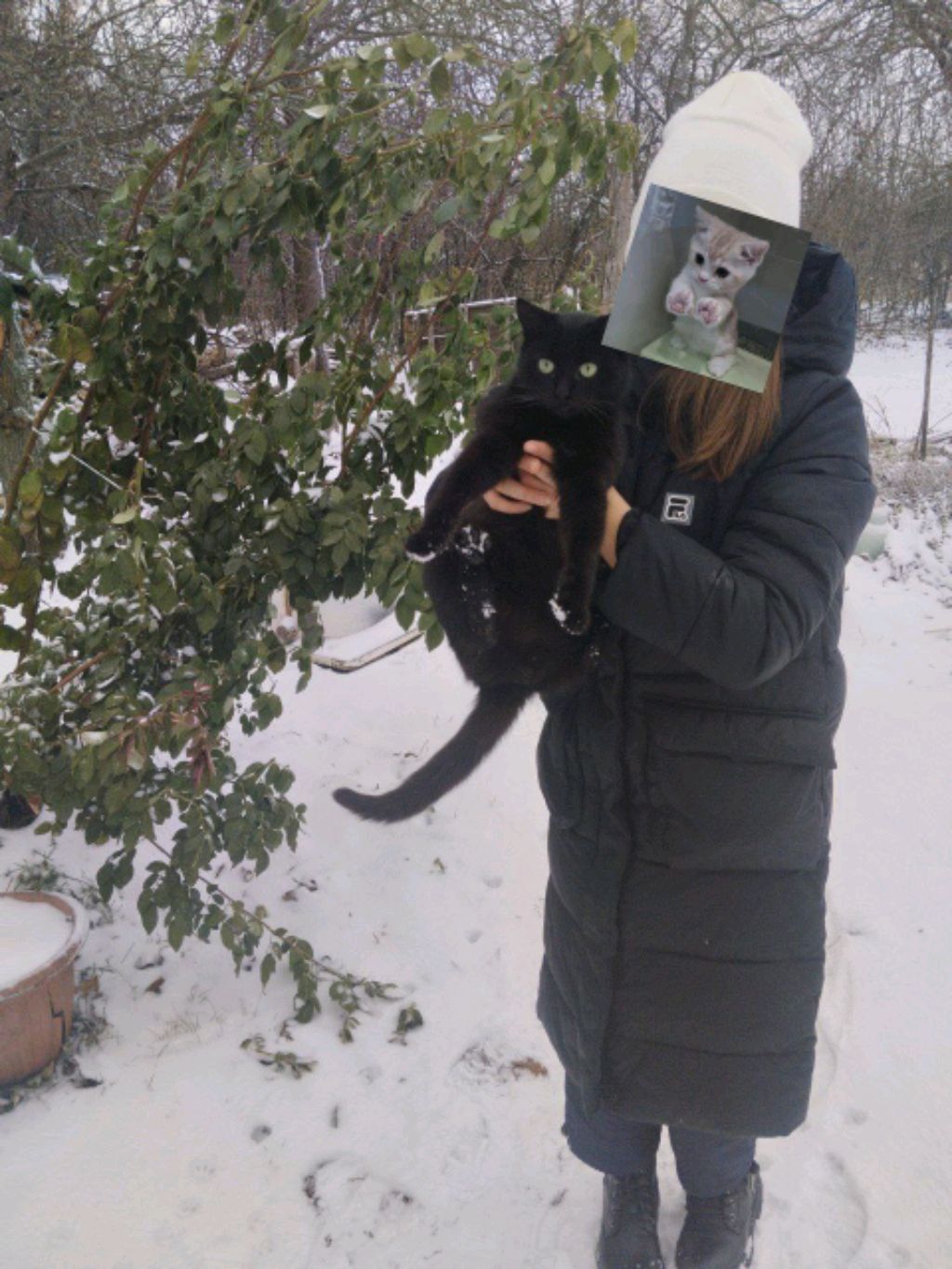 общение