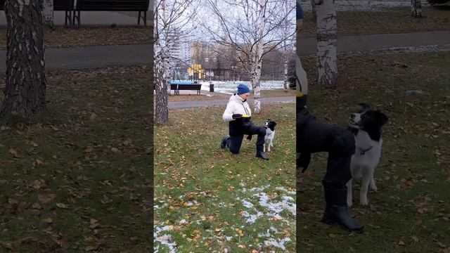 БК Дели - вольт от колена, начало