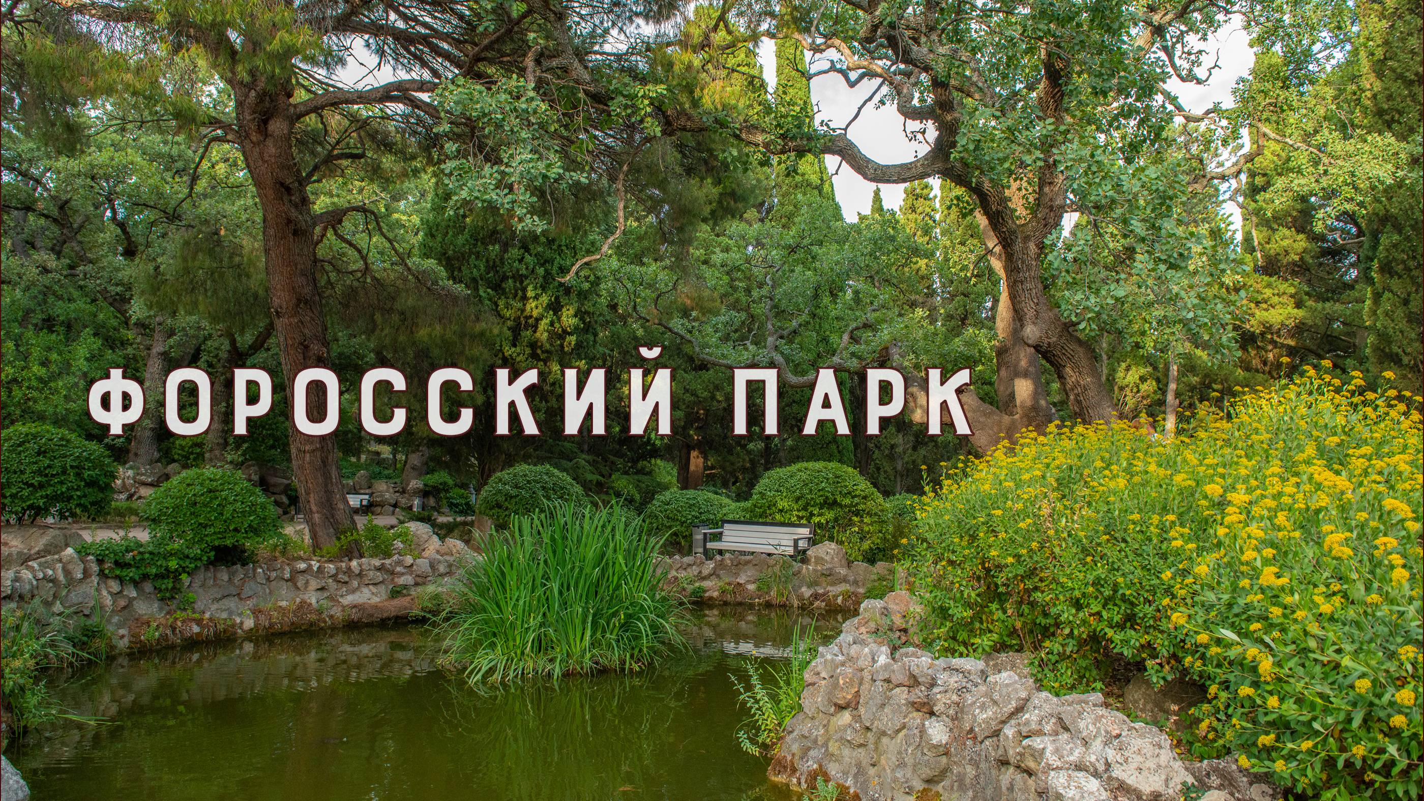 Утопленный телефон, Форосский парк и при чем тут черепашка...