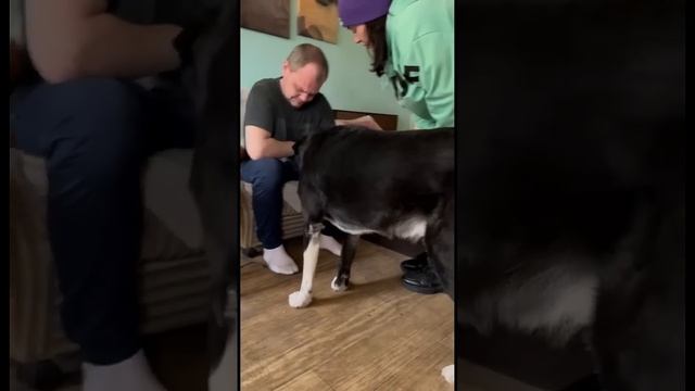 Собака тоже хочет чтобы Леша завязал бухать #алкоголь #закладки #соль #реабилитация #топ