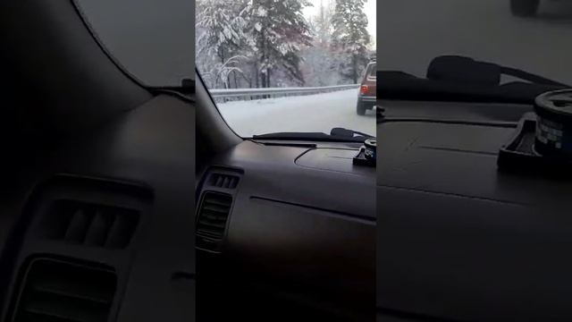 1000056471.mp4