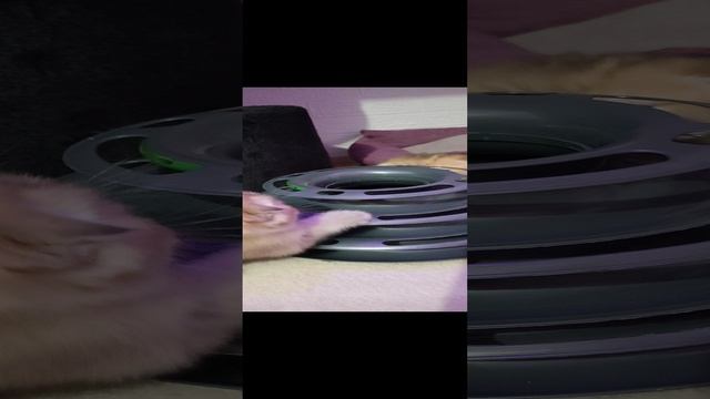 1000060870.mp4