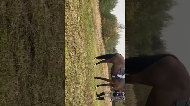 Первое занятие на Пайне