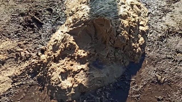Абиссинская скважина это выгодно!