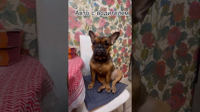 А чего добился ты?🤣