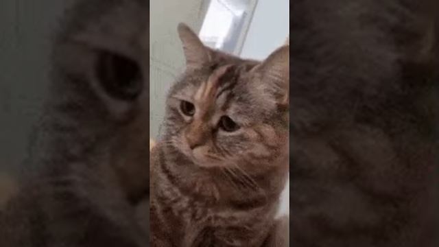 💓Очень маленький видео 💓