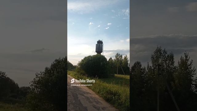 Аисты сидят в гнезде на водонапорной башне