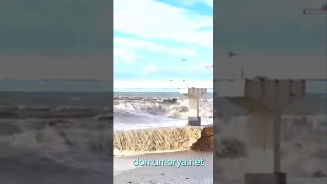 Жизнь у моря разнообразна!