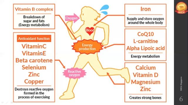 Vitamins & Minerals | Sports Nutrition