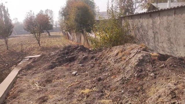 СРОЧНО 5 сотихли Фундаменти бор ЕР СОТИЛАДИ. +998972260151