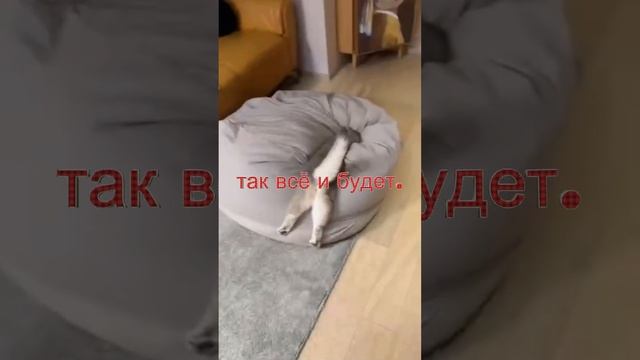 Как суждено