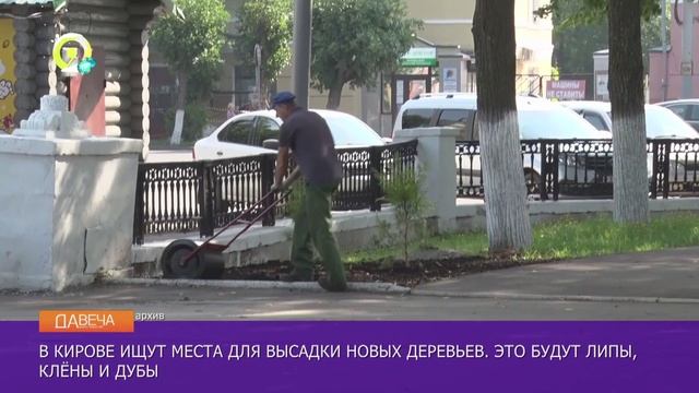 Давеча | 25.12.2024 |В Кирове ищут места для посадки деревьев