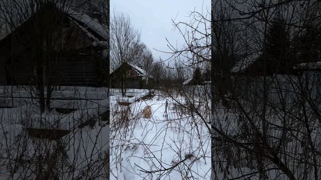 Продается бревенчатый дом (под снос или реконструкцию) на участке 18 соток в д. Нововскресенское.