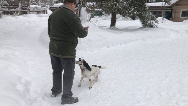 Альма. Первые результаты