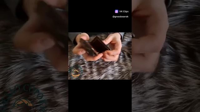 1000056017.mp4