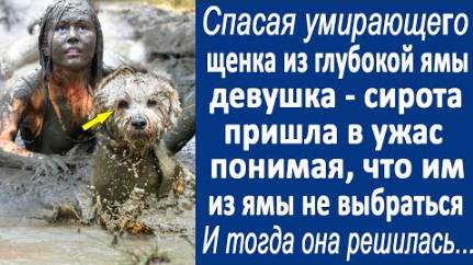 Спасая щенка из глубокой ямы, девушка-сирота пришла в ужас, понимая, что им из ямы не выбраться...