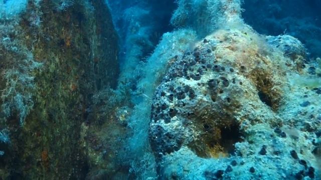 ZENOBIA WITH RUSTY DIVERS