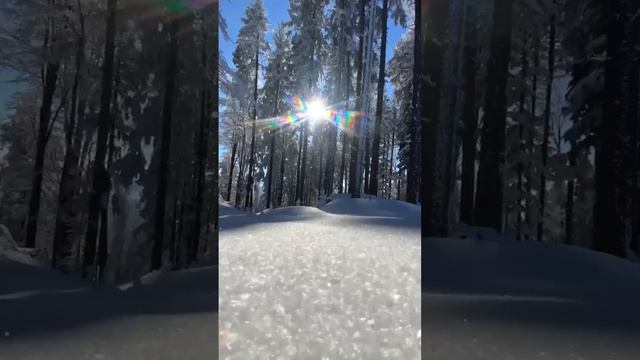 Чистый белый снег ❄️

 #Снег  #зима  #волшебство