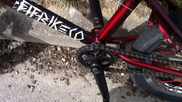 Fit Eddie v3 Custom Bike Check