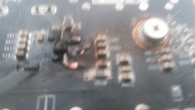 VID_20241225_093714.mp4