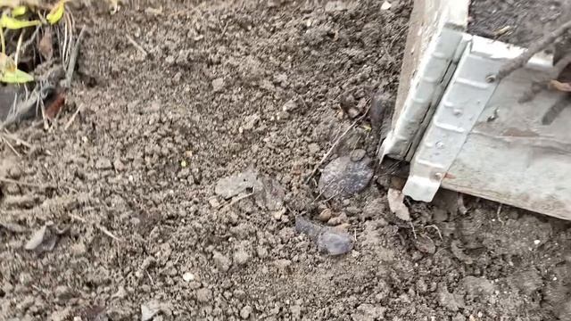 25-12-2024. Дом в наследство!!! Купила столешницу ,посадила петрушку и цикламены .