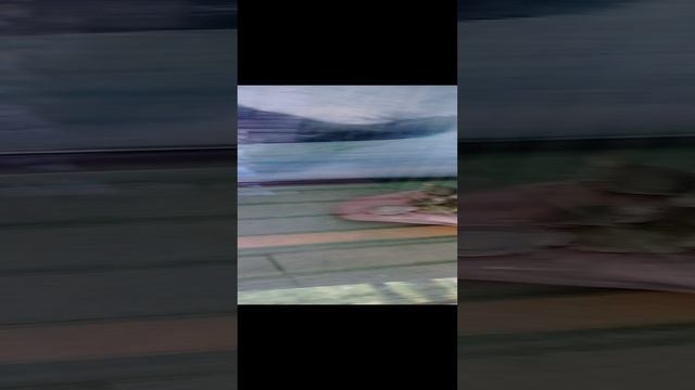Просто черепашки