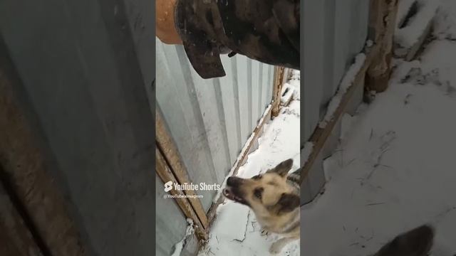 Выходим на прогулку.