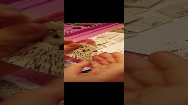 распаковка 1 часть