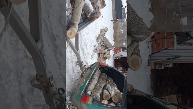 Дрова на Оке, тополь не М