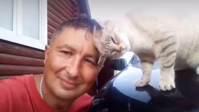 Пушистые и кожаные друзья