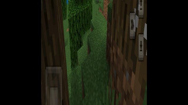 а это уже удачная игра в minecraft