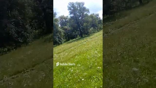 покос травы косилка заря
