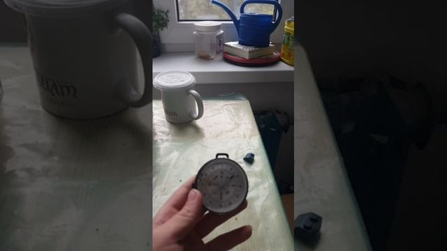11 сентября 2022 г.