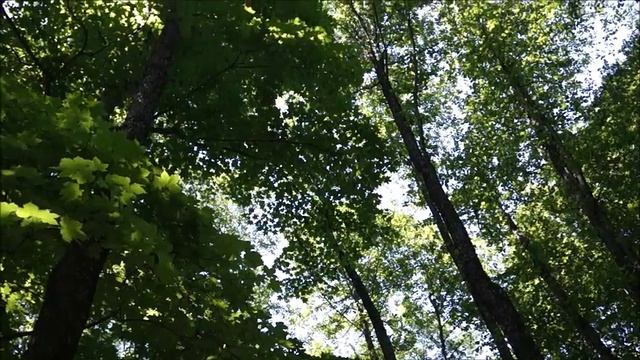 Каверзинские водопады