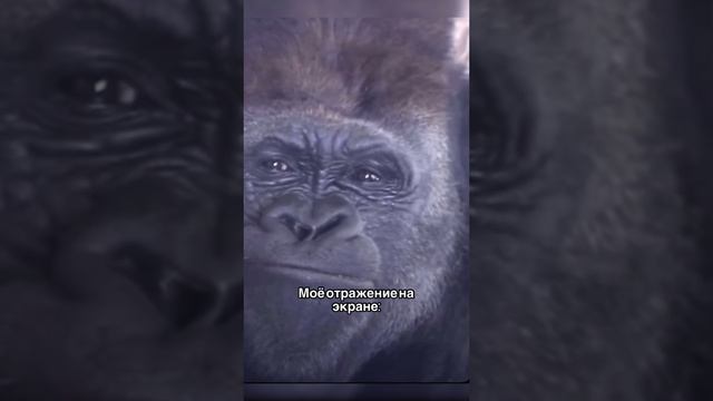 Было?)😃
