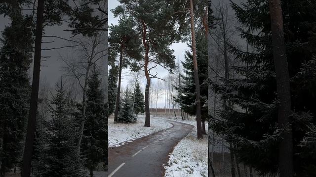 Спорим, вы не знали, что Завидово завидное! 📍Курорт Завидово #МоёЗавидово