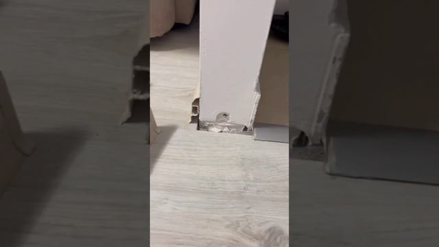 scene_output.mp4