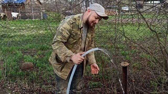 Абиссинка во Владимире