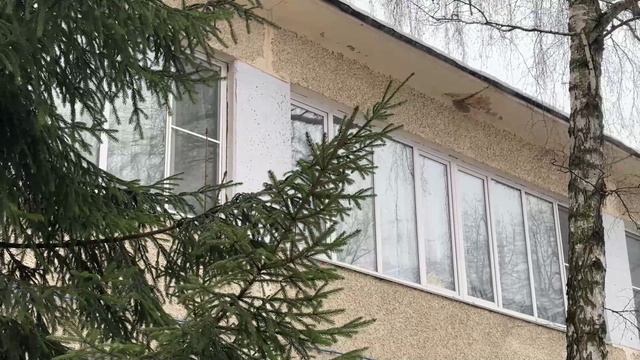 В Реутове заложили капсулу времени в фундамент нового детского сада 25.12.2024